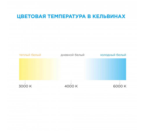 Комплект светодиодной ленты Apeyron 12В 4,8Вт/м smd3528, 60д/м IP65 220Лм/м 5м 6500К (адаптер питания, коннектор)  SL-26