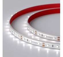 Светодиодная лента герметичная Arlight RTW-PS-A60-10mm 12V White6000 (4.8 W/m, IP67, 2835, 5m) 021099(2)