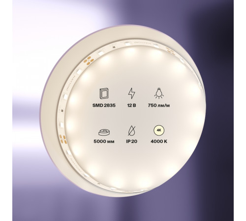 Светодиодная лента Maytoni Led Strip 12B 2835 7,2Вт/м 4000K 5м IP20 20002 Светодиодная лента Maytoni Led Strip 12B 2835 7,2Вт/м 4000K 5м IP20 20002