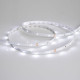 Светодиодная лента Arlight RT-A30-8mm 24V White6000 (2.9 W/m, IP20, 2835, 5m) 019917(2)