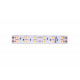 Светодиодная лента DesignLed DSG5120-24-WW-33 000523