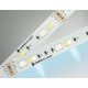 Светодиодная лента Ambrella Light LED Strip 24В 5050+2835 13Вт/м RGB+3000-6500K 5м IP20 GS4501