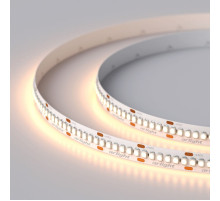Светодиодная лента Arlight RT-A240-10mm 24V Warm2700 (19.2W/m, IP20, 3528, 5m) 017428(1)