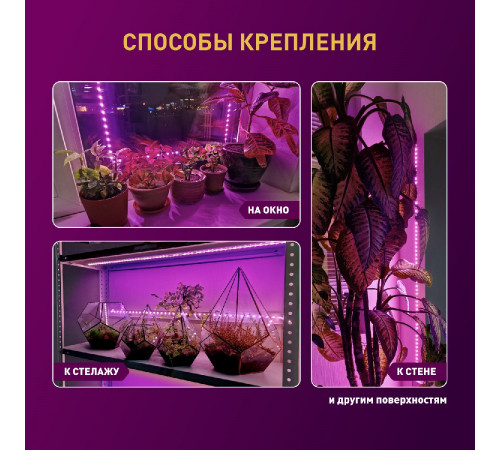 Светодиодная лента для растений Эра 18Вт 1400K 2м IP65 FITO-Strip Light-RB-2m красно-синего спектра Б0057282 Светодиодная лента для растений Эра 18Вт 1400K 2м IP65 FITO-Strip Light-RB-2m красно-синего спектра Б0057282