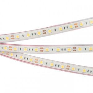 Светодиодная герметичная лента Arlight RTW-PFS-B60-13mm 12V Blue (14.4 W/m, IP68, 5060, 5m) (Arlight, 14.4 Вт/м, IP68) 036280
