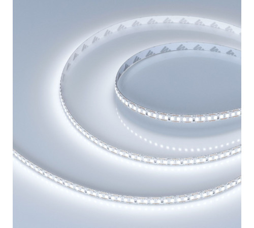 Светодиодная лента Arlight RT-A200-8mm 24V White6000-CX1 (16 W/m, IP20, 5m) 046938 Светодиодная лента Arlight RT-A200-8mm 24V White6000-CX1 (16 W/m, IP20, 5m) 046938