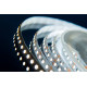 Светодиодная лента DesignLed DSG3120-12-W-33 000525