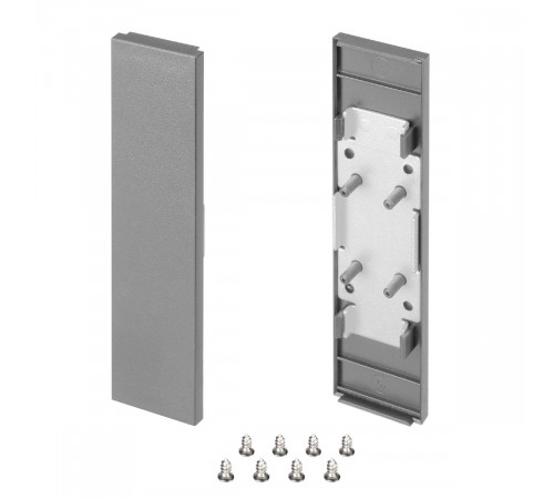 Заглушка Arlight SL-LINE-25100-DUAL SILVER глухая 050522 Заглушка Arlight SL-LINE-25100-DUAL SILVER глухая 050522