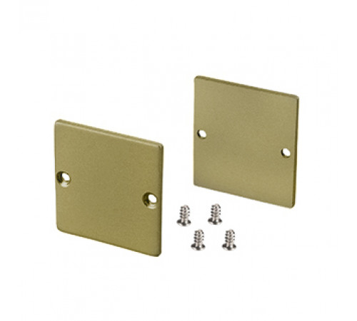 Заглушка Arlight SL-LINE-3638-LW GOLD глухая 039983 Заглушка Arlight SL-LINE-3638-LW GOLD глухая 039983