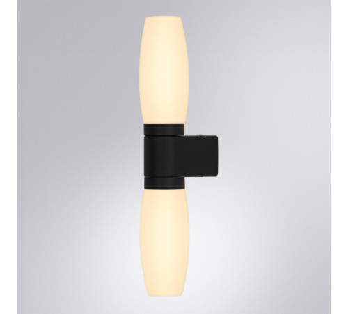 Подсветка для зеркал Arte Lamp Aqua-bastone A1209AP-2BK