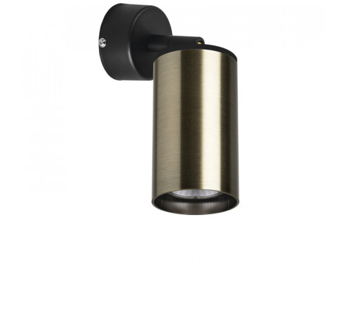 Встраиваемый спот Lightstar Rullo RB431 (214431+590007) Встраиваемый спот Lightstar Rullo RB431 (214431+590007)