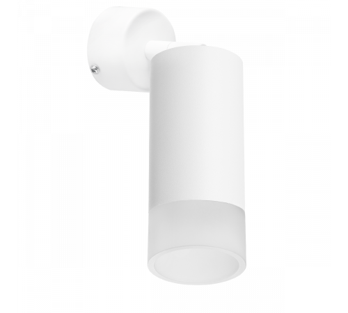 Встраиваемый спот Lightstar Rullo RB43631 (214436+590006+202431) Встраиваемый спот Lightstar Rullo RB43631 (214436+590006+202431)