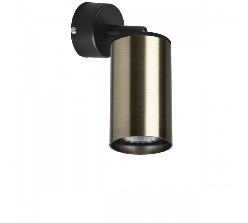 Встраиваемый спот Lightstar Rullo RB431 (214431+590007) Встраиваемый спот Lightstar Rullo RB431 (214431+590007)
