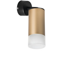 Встраиваемый спот Lightstar Rullo RB44031 (214440+590007+202431)