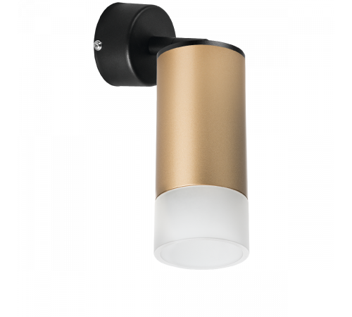 Встраиваемый спот Lightstar Rullo RB44031 (214440+590007+202431) Встраиваемый спот Lightstar Rullo RB44031 (214440+590007+202431)