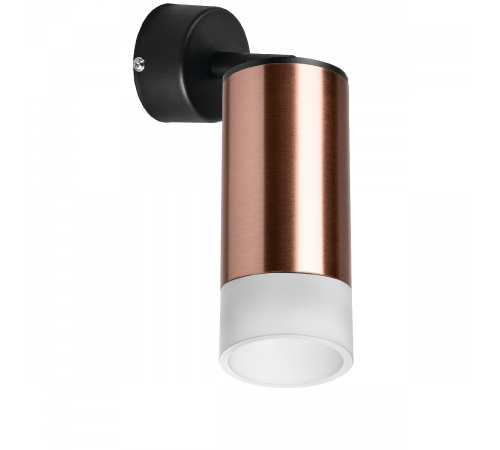 Встраиваемый спот Lightstar Rullo RB43031 (214430+590007+202431)