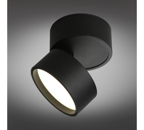 Светодиодный спот Omnilux Lenno OML-101319-12 Светодиодный спот Omnilux Lenno OML-101319-12