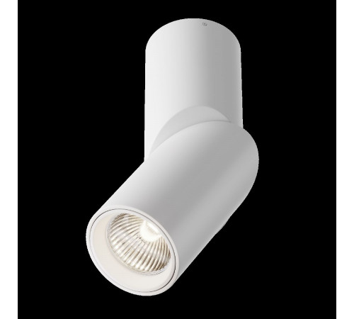 Накладной спот Maytoni Dafne C027CL-L10W4K