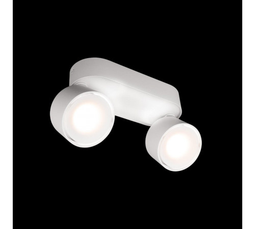 Накладной спот Loft IT Focus 10323/2A White Накладной спот Loft IT Focus 10323/2A White