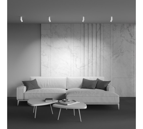 Накладной спот Maytoni Dafne C027CL-L10W4K