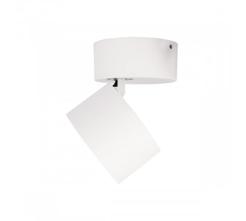 Накладной спот Loft IT Focus 10323/A White Накладной спот Loft IT Focus 10323/A White