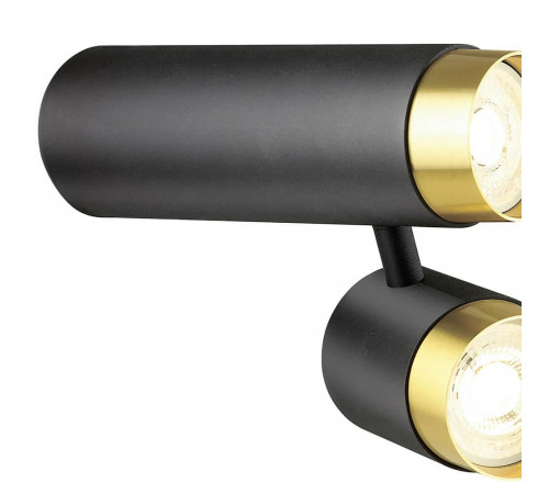 Спот Lumien Hall Саурис LH8020/2C-BK-GD