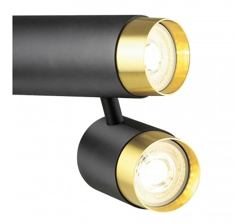 Спот Lumien Hall Саурис LH8020/2C-BK-GD