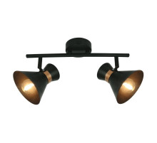 Спот Arte Lamp Baltimore A1406AP-2BK