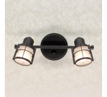 Спот Citilux Реймс CL563521
