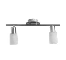 Спот Arte Lamp A4510PL-2SS