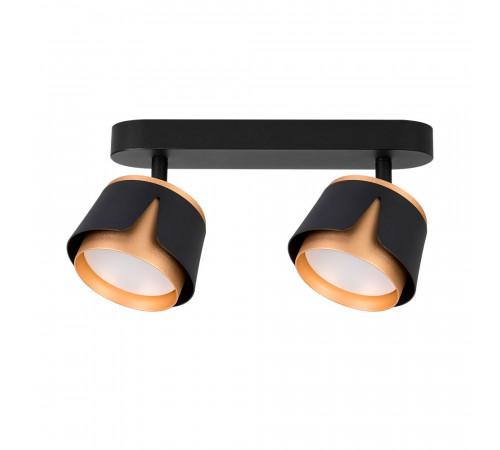 Спот Arte Lamp Amaks A8028PL-2BK Спот Arte Lamp Amaks A8028PL-2BK