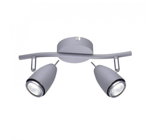 Спот Arte Lamp Regista A1966AP-2GY Спот Arte Lamp Regista A1966AP-2GY