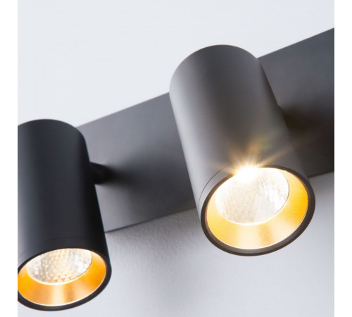 Спот Eurosvet 20066/2 LED черный/золото