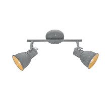 Спот Arte Lamp A1677PL-2GY
