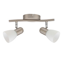 Спот Toplight Violet TL1231Y-02SN