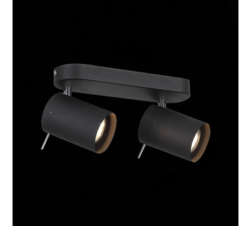 Светодиодный спот ST Luce Fanale SL597.401.02 Светодиодный спот ST Luce Fanale SL597.401.02