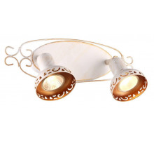 Спот Arte Lamp Focus A5219AP-2WG