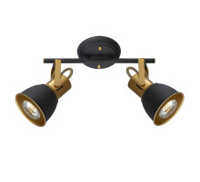 Спот Arte Lamp Jovi A1677PL-2GO