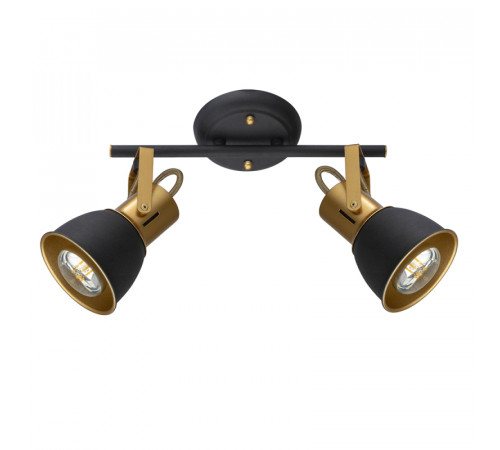 Спот Arte Lamp Jovi A1677PL-2GO Спот Arte Lamp Jovi A1677PL-2GO