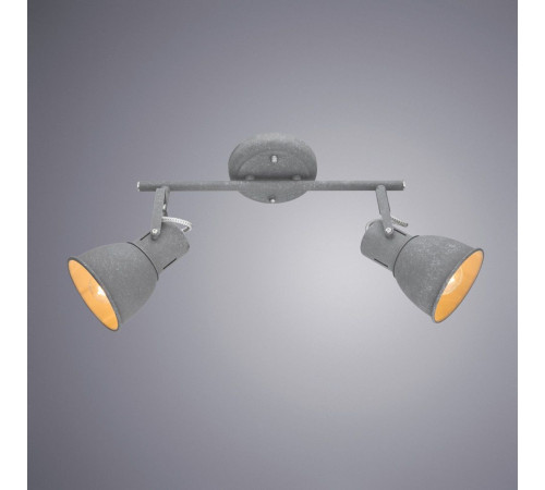 Спот Arte Lamp A1677PL-2GY