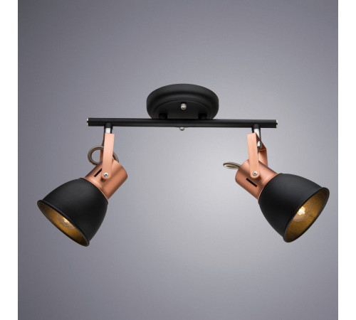 Спот Arte Lamp A1677PL-2BK