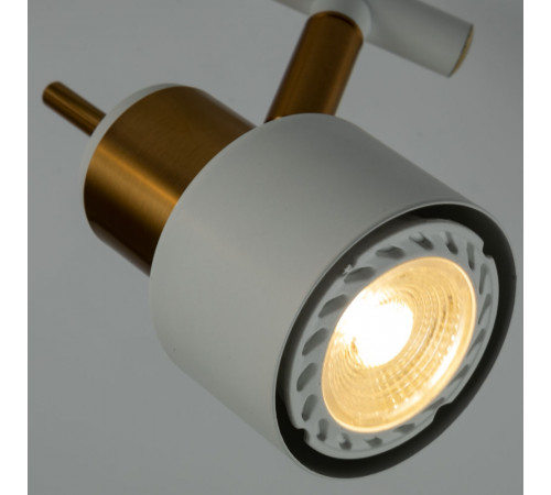 Спот Arte Lamp ALMACH A1906PL-2WH Спот Arte Lamp ALMACH A1906PL-2WH