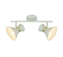 Спот Arte Lamp Baltimore A1406AP-2WG