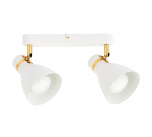 Спот Arte Lamp Fafnir A5047PL-2WH Спот Arte Lamp Fafnir A5047PL-2WH