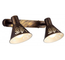 Спот Arte Lamp Cono A5218AP-2BR