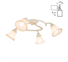 Спот Citilux Прованс CL511144