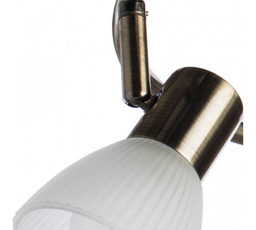 Спот Arte Lamp Parry A5062PL-3AB Спот Arte Lamp Parry A5062PL-3AB
