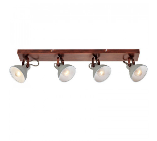 Спот Lussole Loft Diana LSP-9829