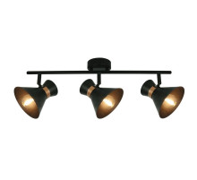 Спот Arte Lamp Baltimore A1406PL-3BK