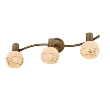 Спот Toplight Sharleen TL3790Y-03AB